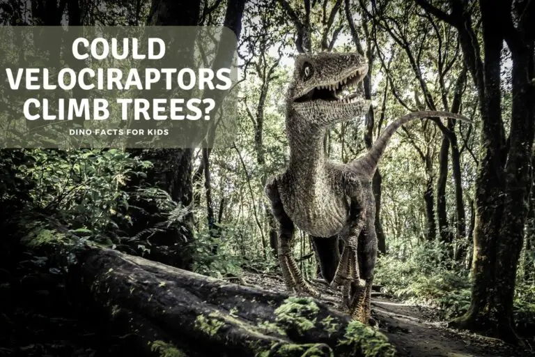 Could Velociraptors Climb Trees