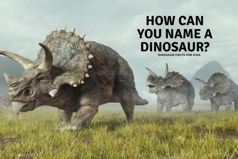 How Can You Name a Dinosaur?