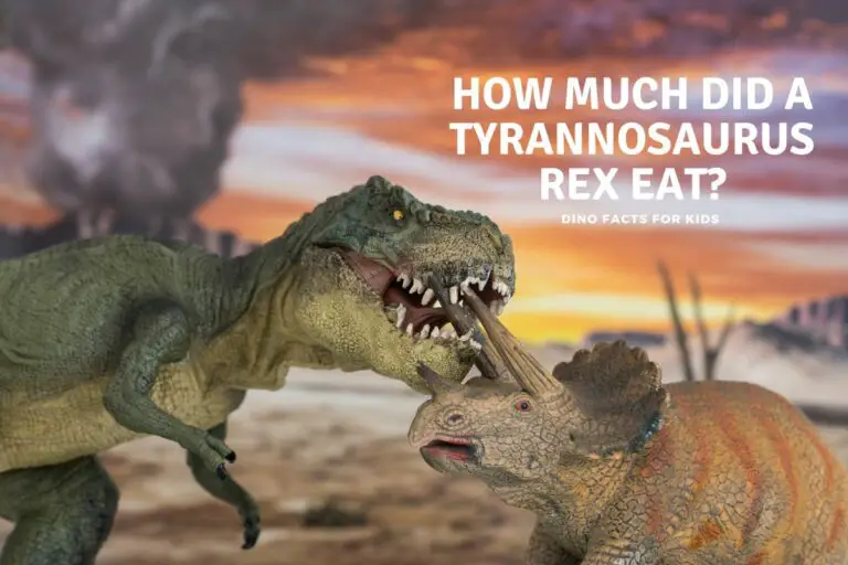 How much did a Tyrannosaurus Eat?