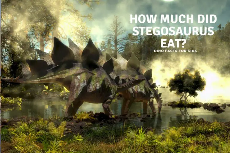 How  Much Did The Stegosaurus Eat?