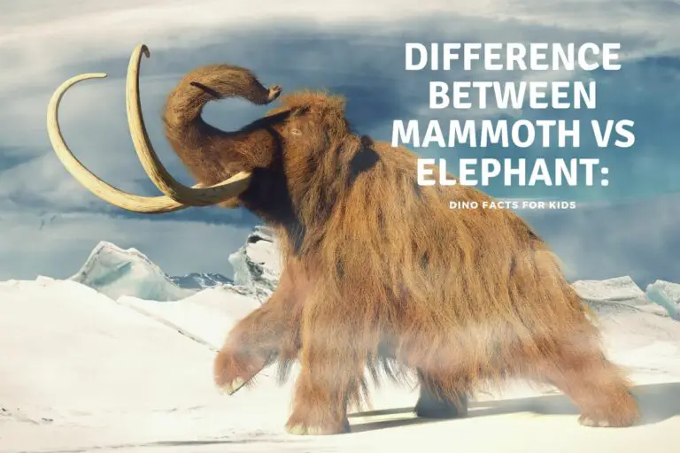 What are The Differences Between Mammoths and Elephants?