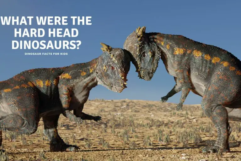 What Were The Hard Head Dinosaurs?