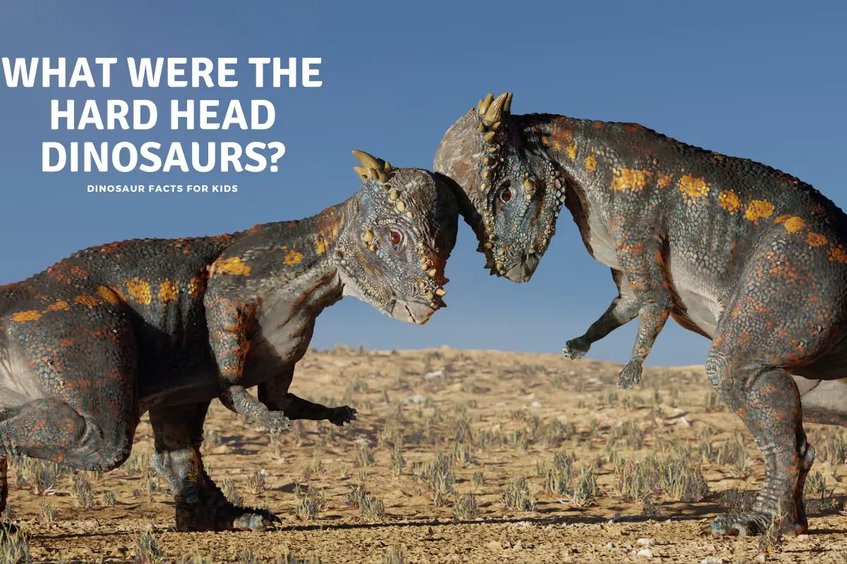 What did dinosaurs evolve from dinosaur facts for kids
