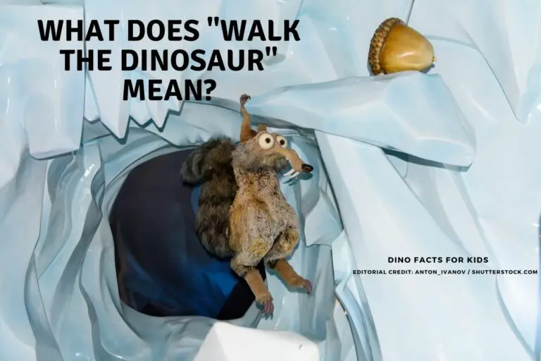 What Does “Walk The Dinosaur” Mean?