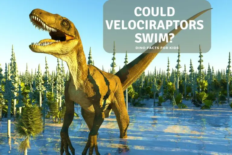 could velociraptors swim