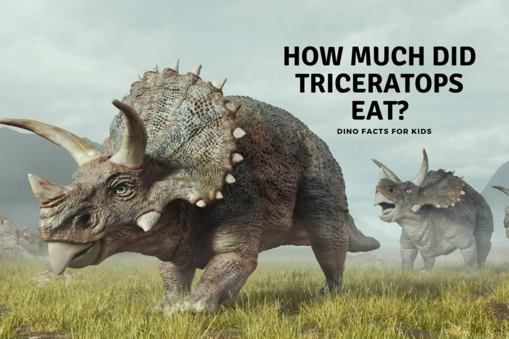 How Big Was A Pterodactyl Dinosaur Facts For Kids How Much Did Triceratops Eat 1024x683