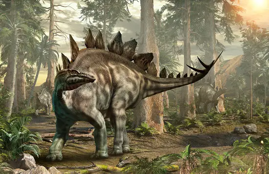How much did stegosaurus eat