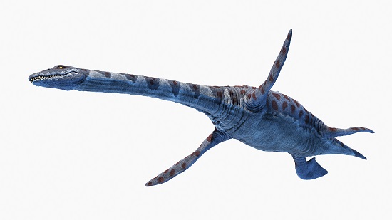 Attenborosaurus Dinosaurs named After famous People