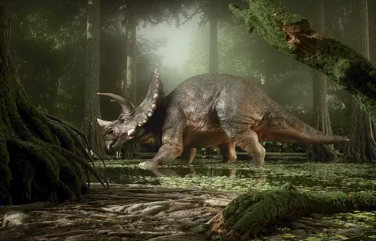 how much did triceratops eat