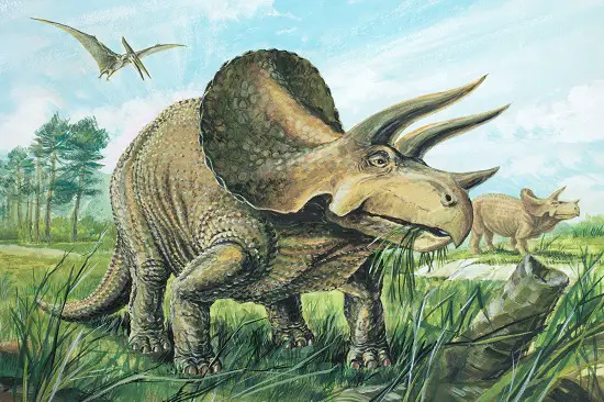 how much did triceratops eat